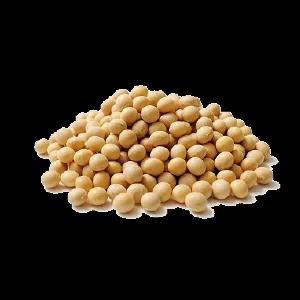 SOYABEAN