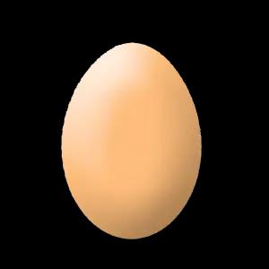 BROWN_EGG