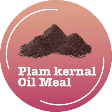 Plam Kernal Oil