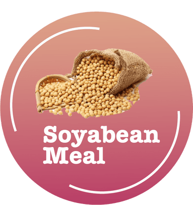 Soyabean Meal