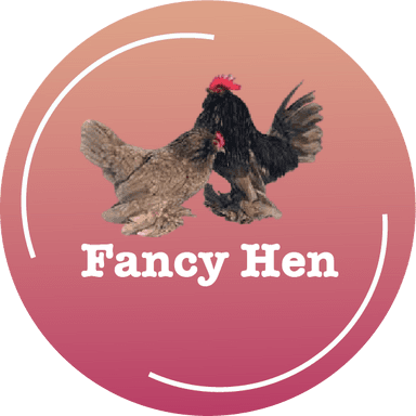 Fancy Hen