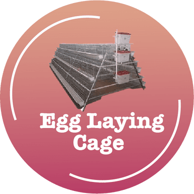 Egg Laying Cage