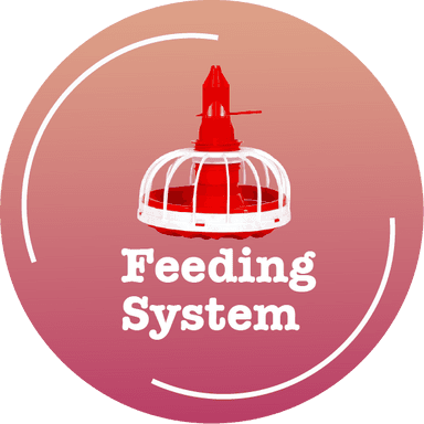 Feeding System