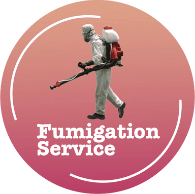 Fumigation Service