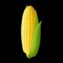corn markets